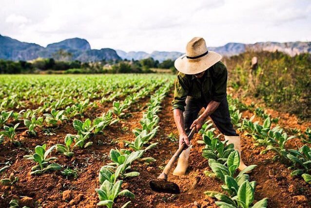 Agricultura local y sostenible en Zaragoza